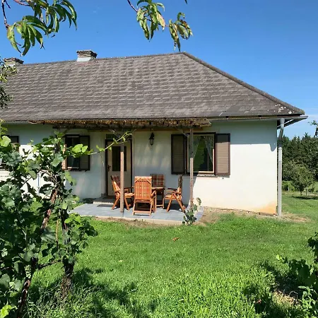 Urlaub Im Weingarten Winten  Exterior photo