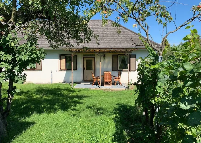 Urlaub Im Weingarten