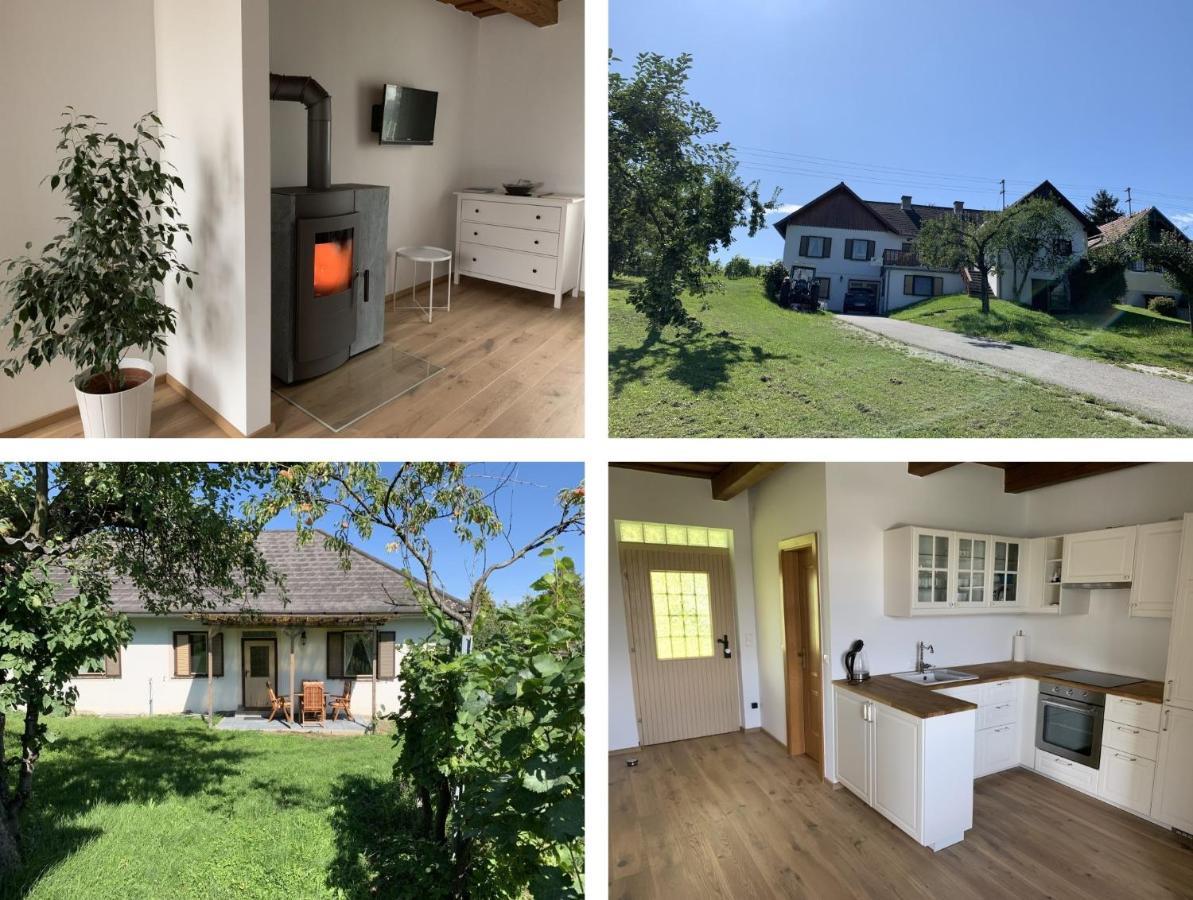 Urlaub Im Weingarten Apartment