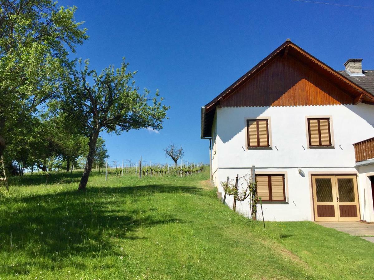 Urlaub Im Weingarten Apartment
