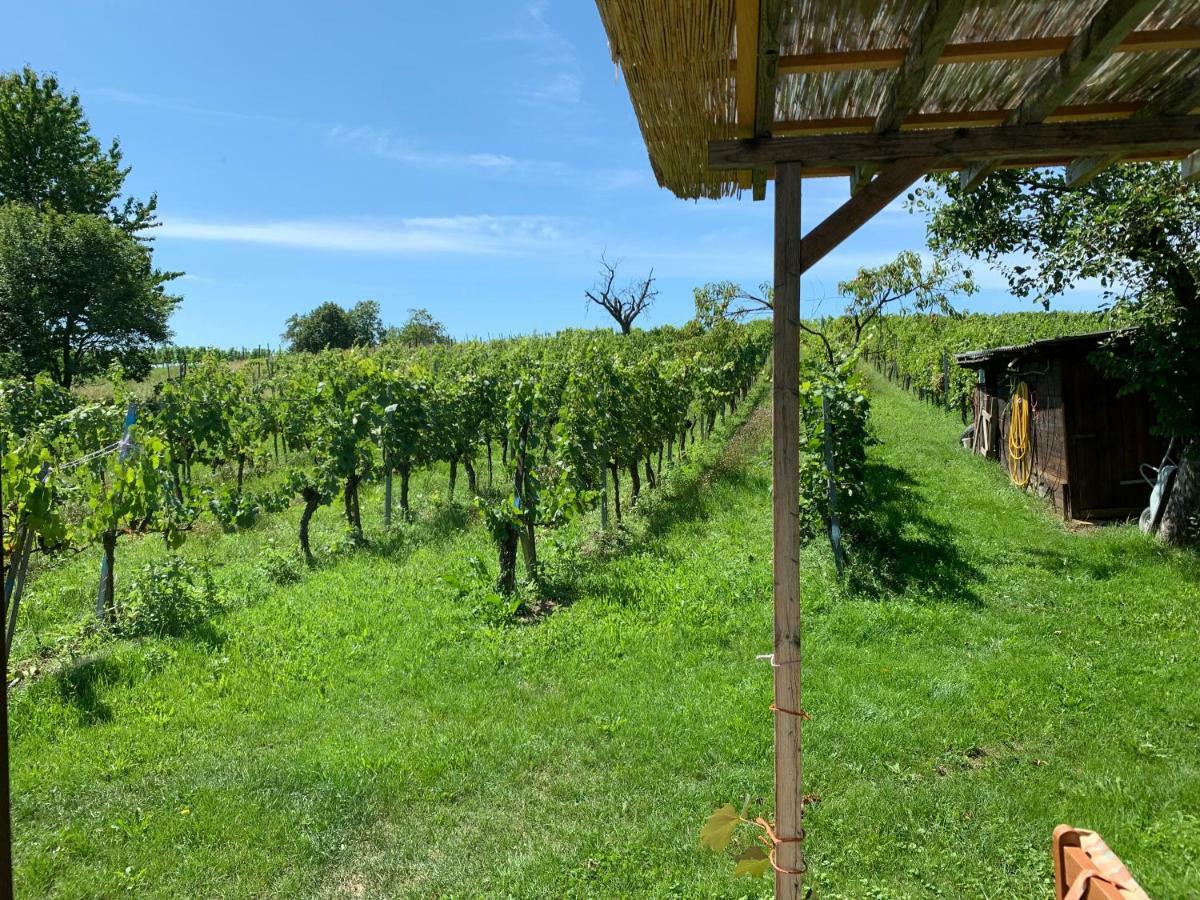 Urlaub Im Weingarten * Winten (Burgenland)