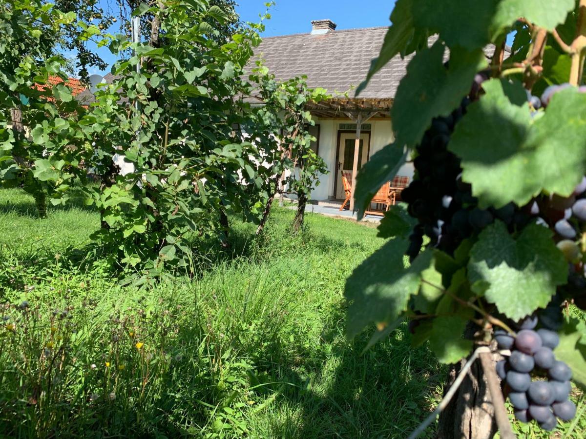 Apartment Urlaub Im Weingarten *