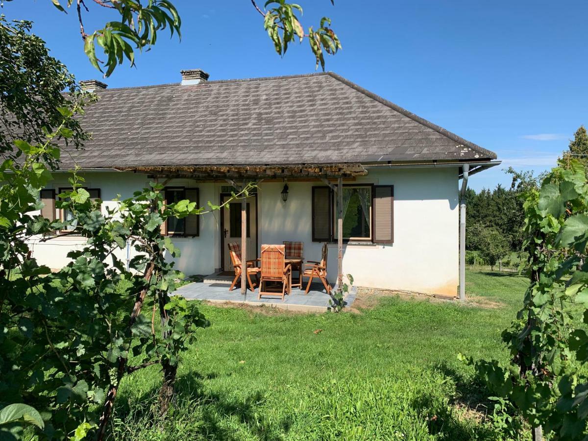 Urlaub Im Weingarten *